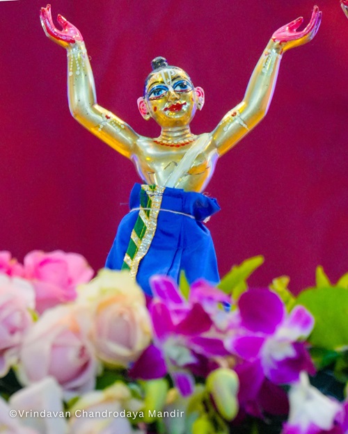 Nityananda Trayodashi