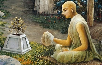 Ekadasi – The Divine Purpose