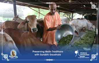 Preserving Vedic Traditions with Surabhi Gaushala