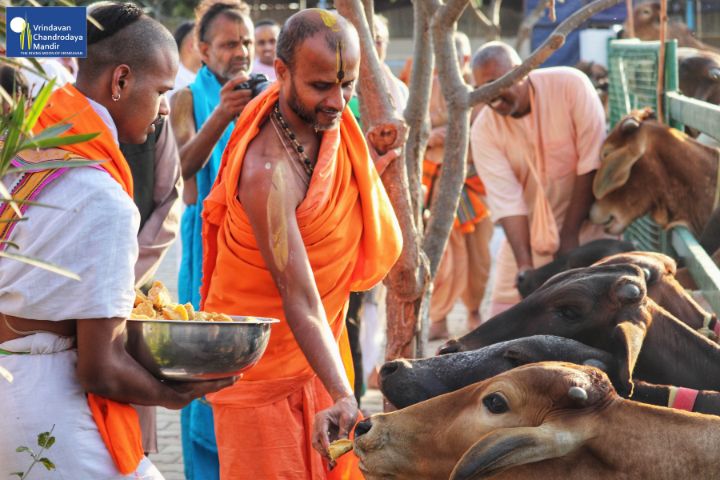 His Holiness Sri Satyatma Tirtharu  Visits Vrindavan Chandrodaya Mandir
