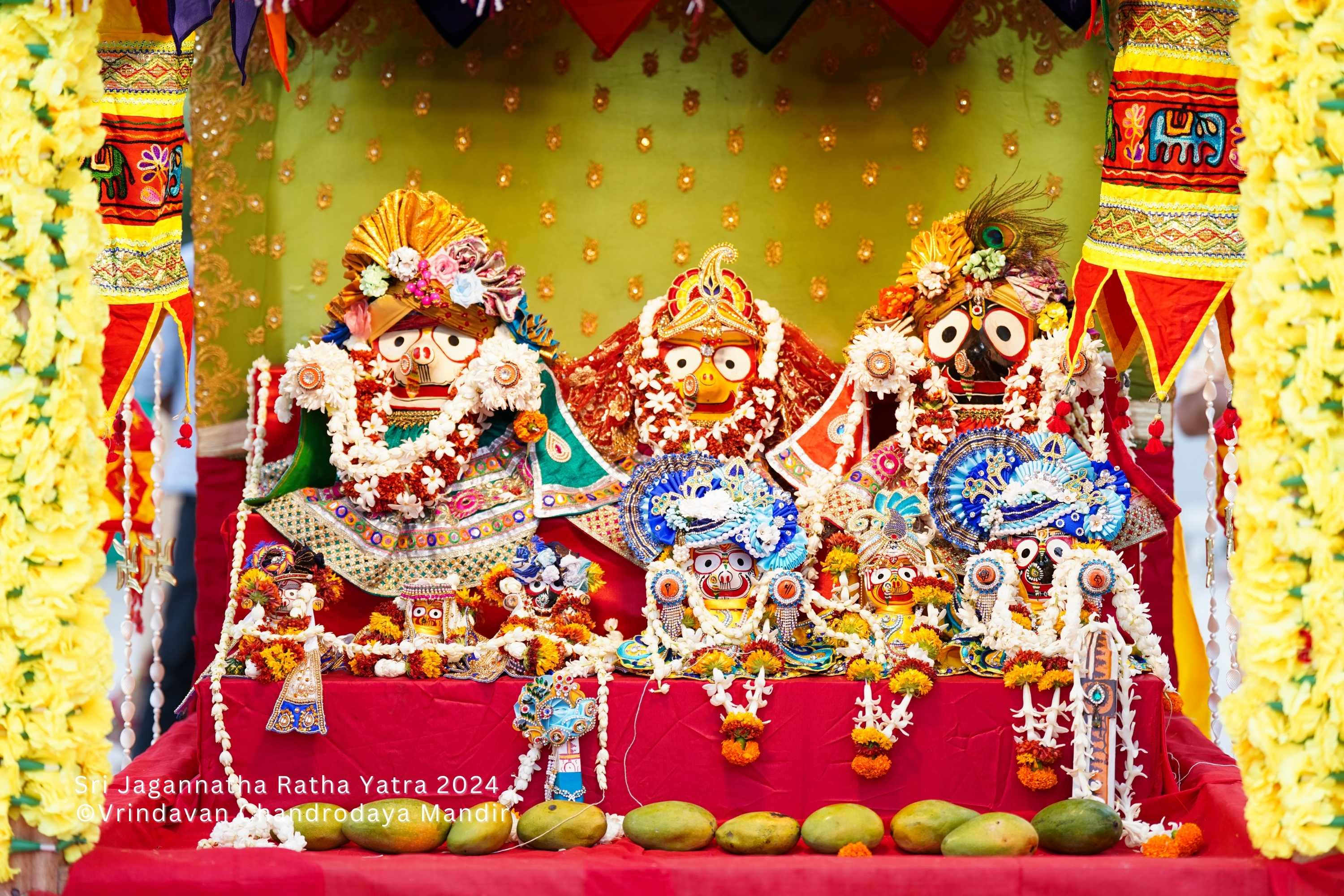 Vrindavan Chandrodaya Mandir celebrated Sri Jagannatha Ratha Yatra