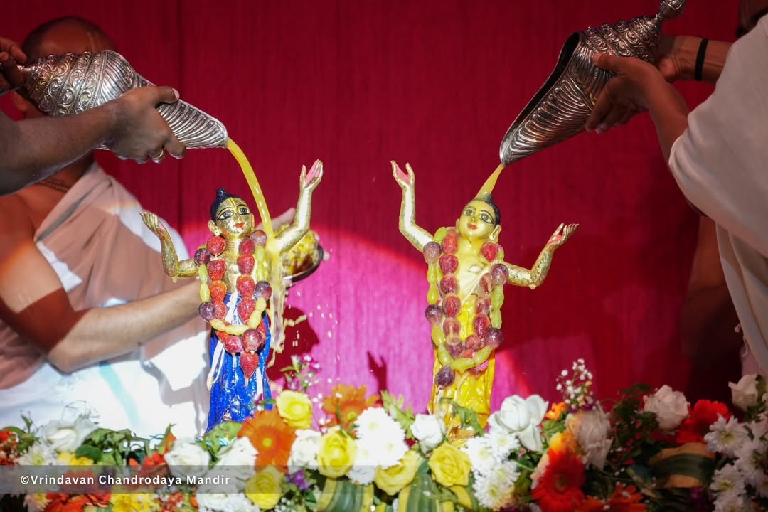 Vrindavan Chandrodaya Mandir celebrated Sri Gaura Purnima